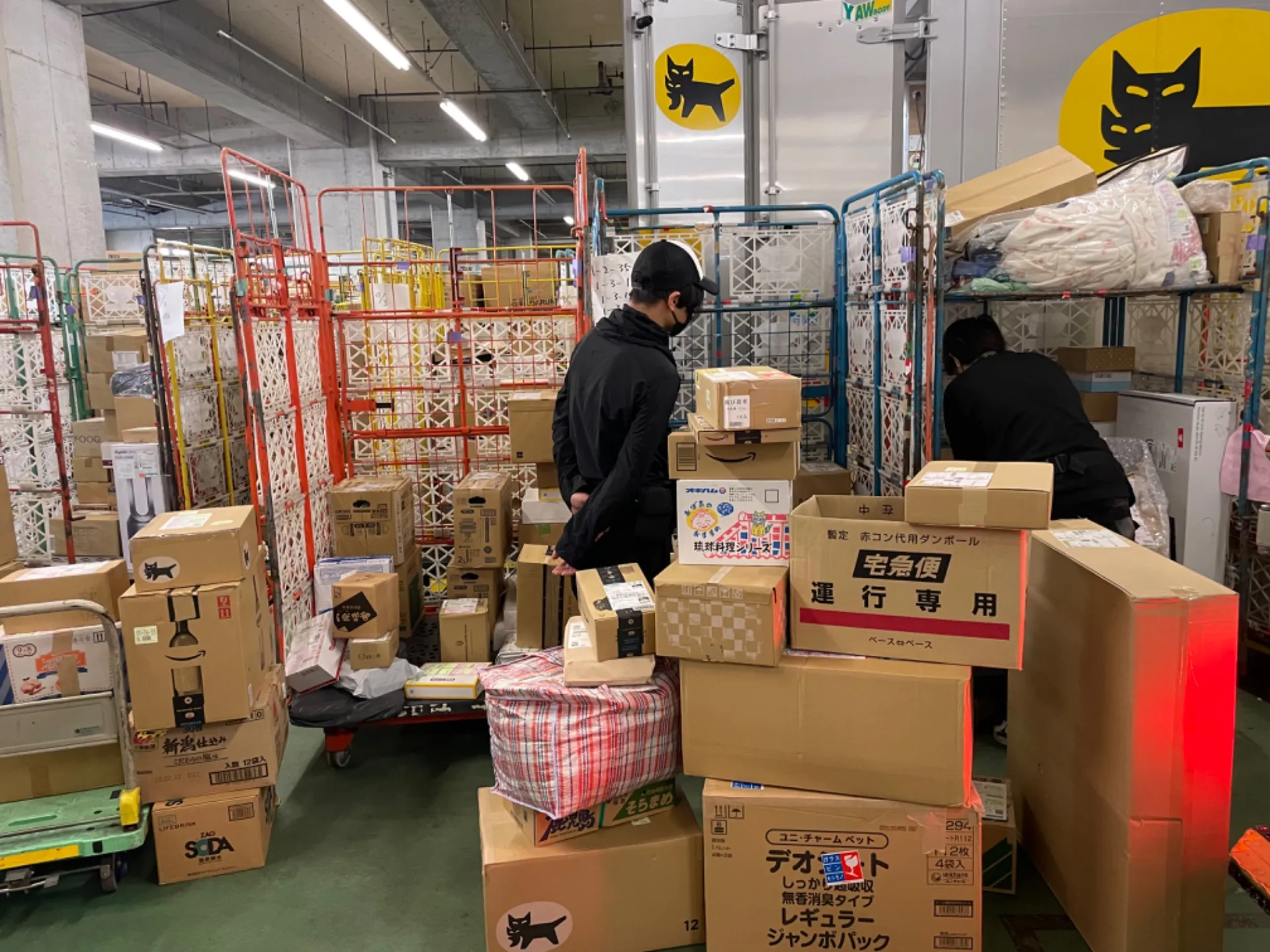 新メンバー!!年齢は26歳!?